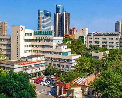 上海供卵生子医院,上海试管哪家医院成功率最高上海那个医院试管权威