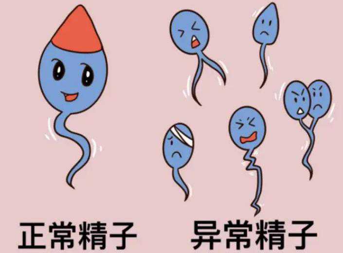 上海代孕供卵试管,上海集爱医院试管婴儿成功率和费用